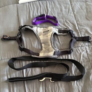 Bailey and Bella Dog Harness with collar and leash